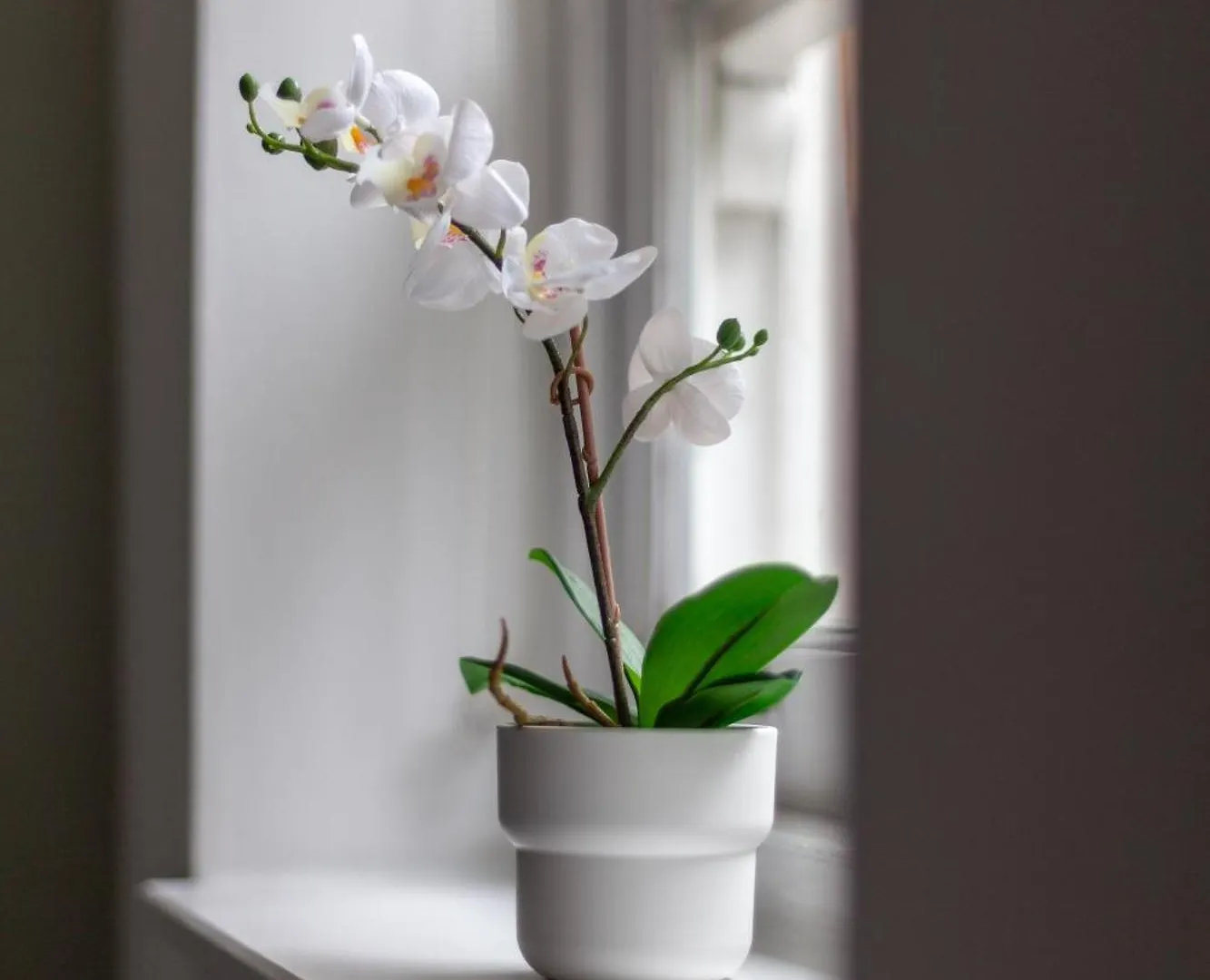 The Hackney Luxury Flat Apartment London